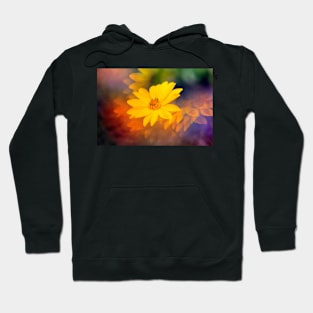 Yellow flower photographed through prism Hoodie